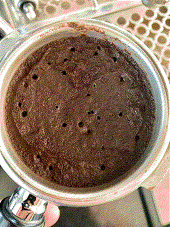 "Energy flows where attention goes."