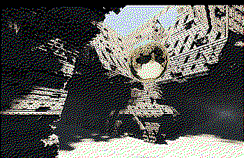 The baked probe at its original location.