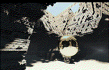 How it should really look like - reference solution obtained by baking at the second location.